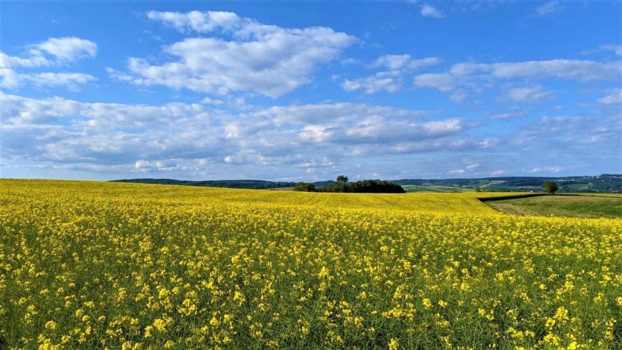 Pension Margaretenhof Bayerbach Buitenkant foto