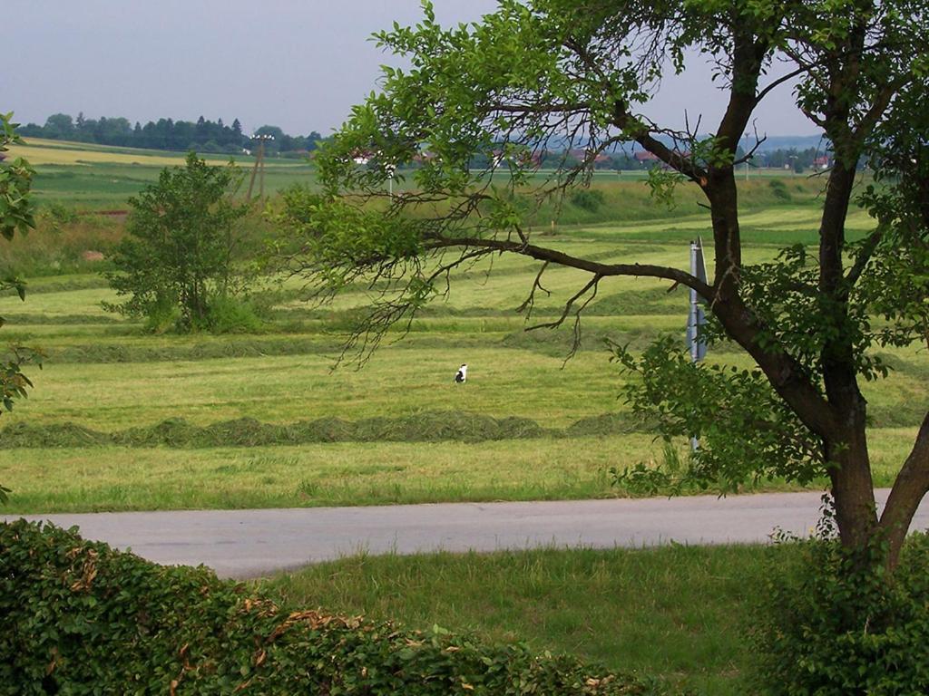Pension Margaretenhof Bayerbach Buitenkant foto
